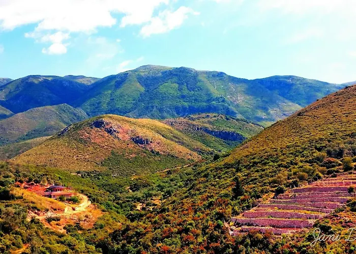 The Grandfather's