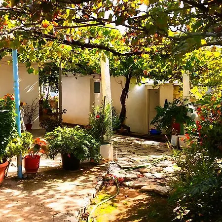 The Grandfather's Casa de Campo *
