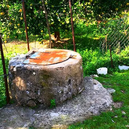 The Grandfather's Casa de Campo Himare