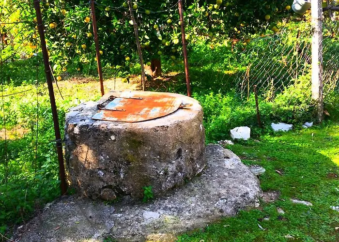 The Grandfather's 乡村民宿 希马拉